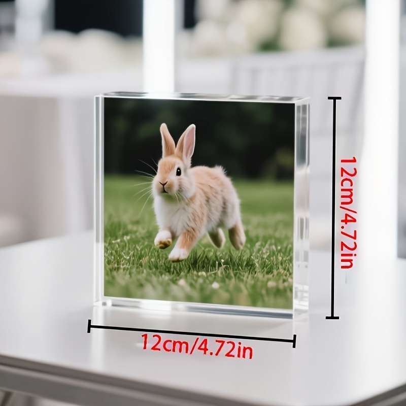 1PC Custom Photo   Acrylic Per - Photo Acrylic Block 리뷰 및 가격