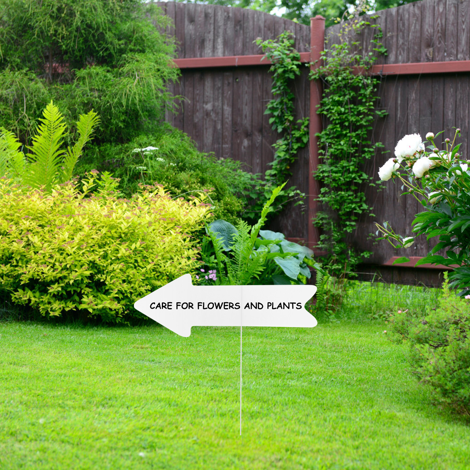 5Pcs Plastic Blank Yard Signs  - Yard Sign Blank 리뷰 및 가격